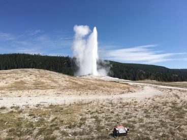 Another shot of Old Faithful!