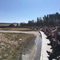 Old Faithful Geyser Yellowstone